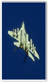 mig29
